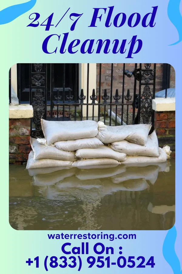 24/7 Flood Cleanup in Banks Springs, LA