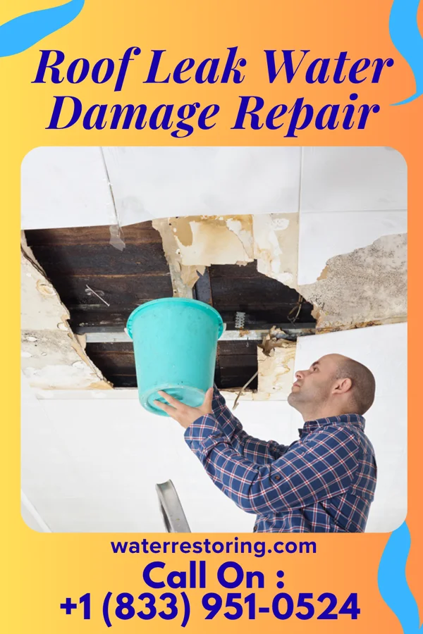 Roof Leak Water Damage Repair in Banks Springs, LA